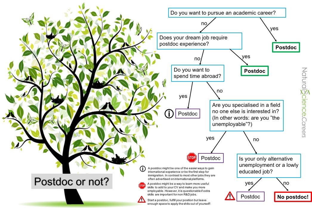 postdoc or not